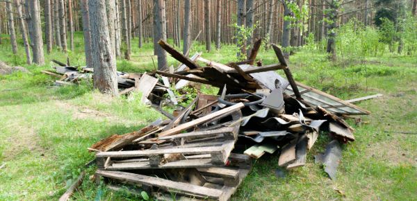 Debris Removal Service in Cocoa